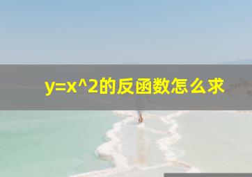 y=x^2的反函数怎么求